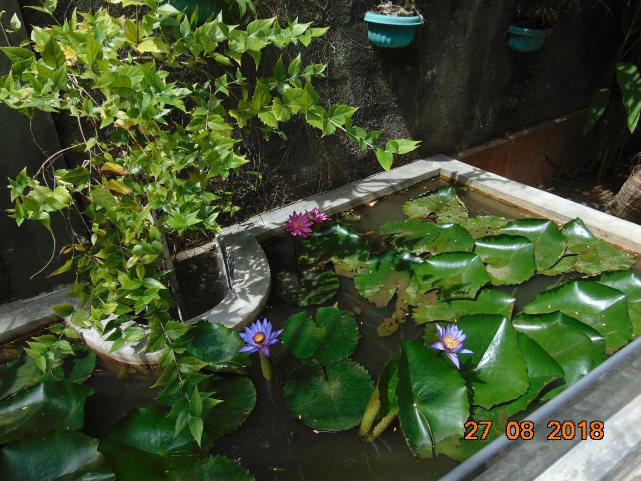 Sri Lankan Villa Elagawagoda 외부 사진